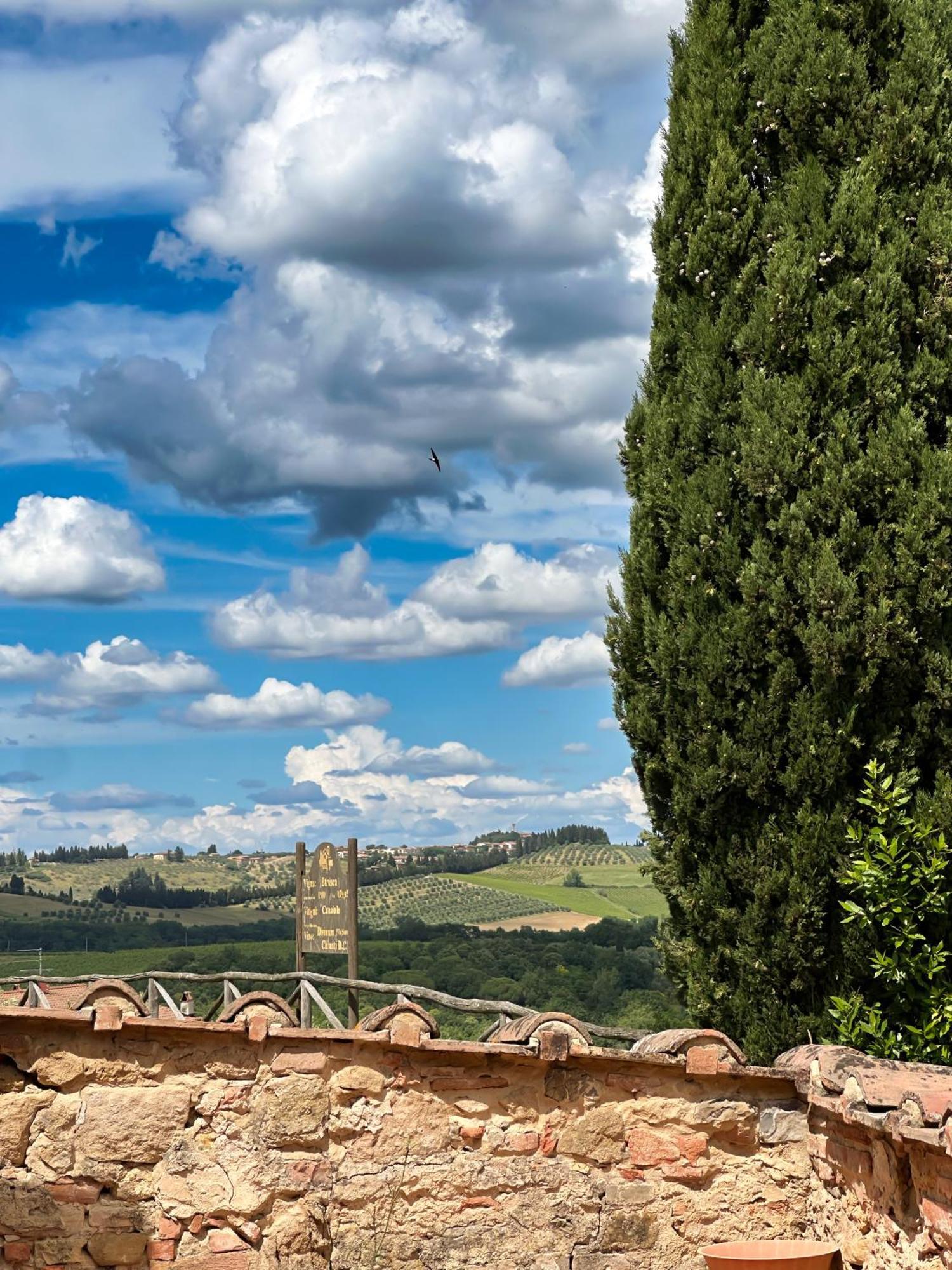 Agriturismo Fattoria Sant'Appiano Βίλα Barberino di Val dʼElsa Εξωτερικό φωτογραφία