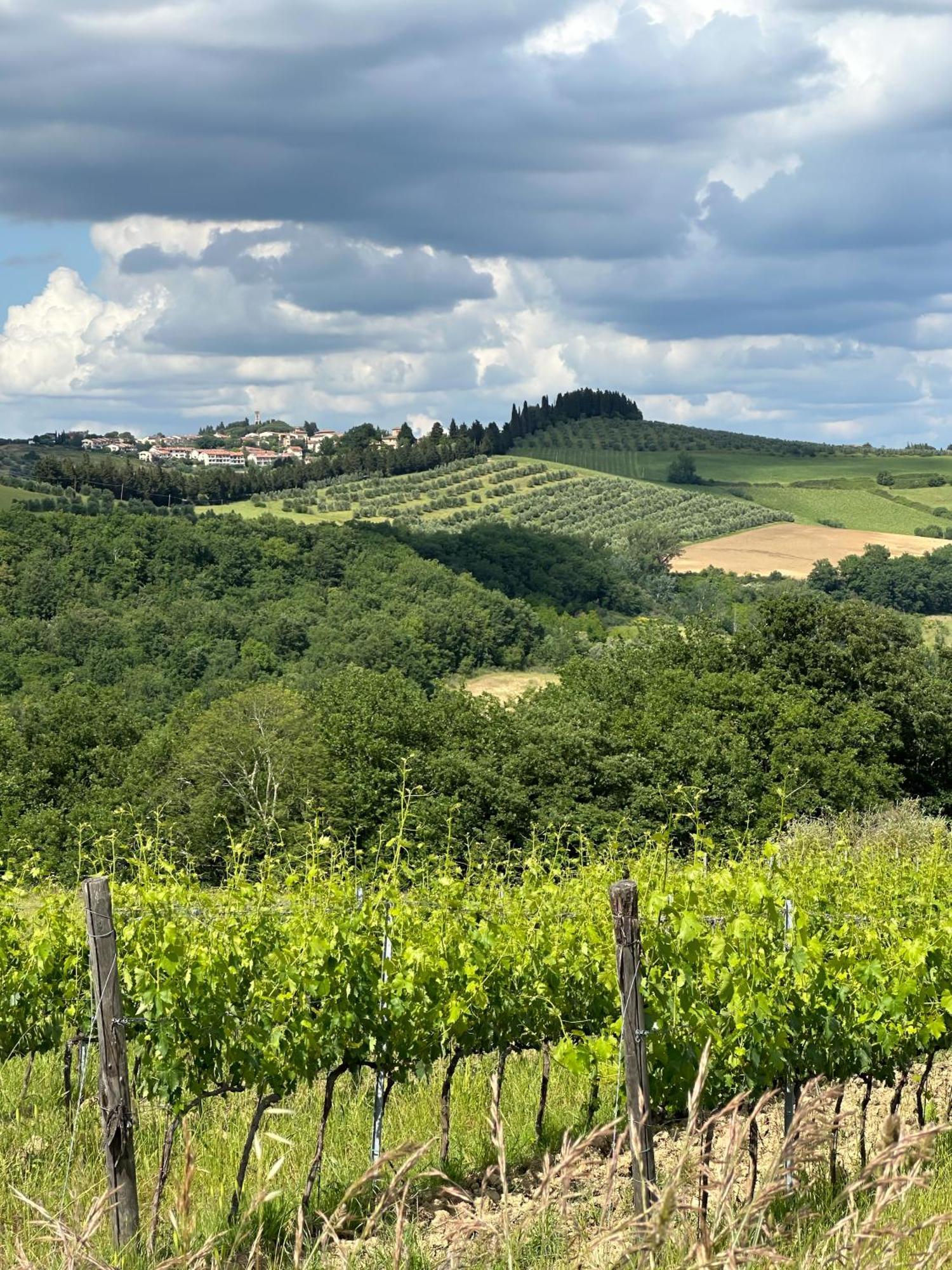 Agriturismo Fattoria Sant'Appiano Barberino di Val dʼElsa Εξωτερικό φωτογραφία